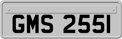 GMS2551