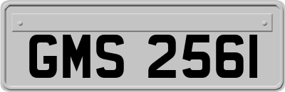 GMS2561