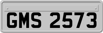 GMS2573