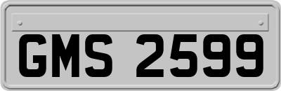 GMS2599