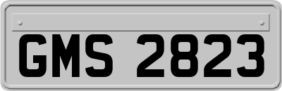 GMS2823