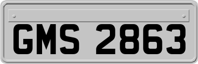 GMS2863