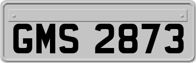 GMS2873