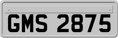 GMS2875