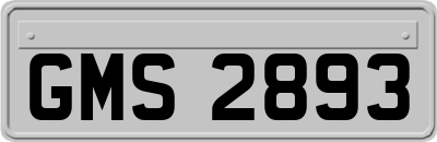 GMS2893