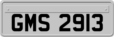 GMS2913