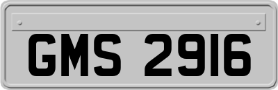 GMS2916