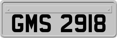 GMS2918