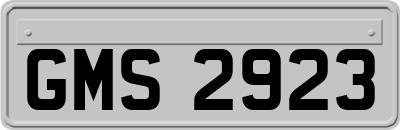 GMS2923