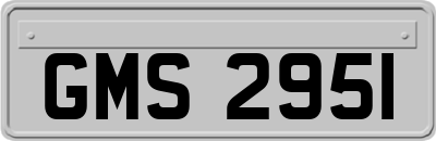 GMS2951
