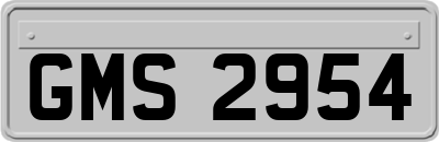 GMS2954