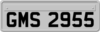 GMS2955
