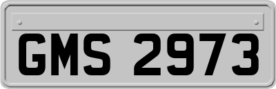 GMS2973