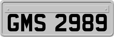 GMS2989