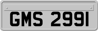 GMS2991