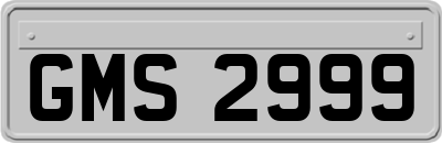 GMS2999