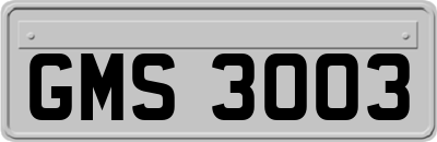 GMS3003