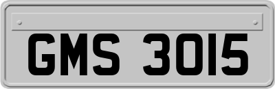 GMS3015