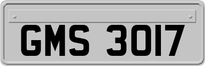GMS3017