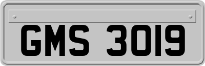 GMS3019