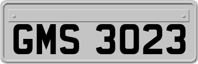 GMS3023