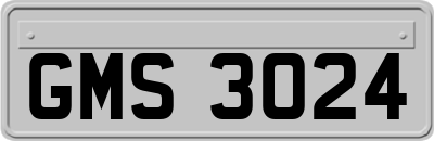 GMS3024