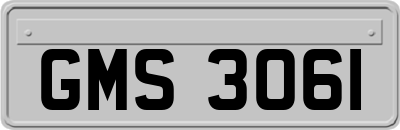 GMS3061