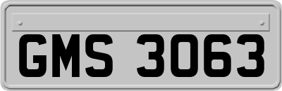 GMS3063