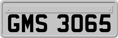 GMS3065