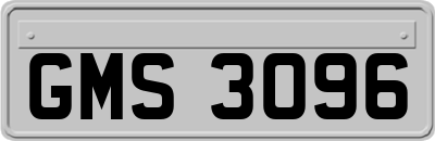 GMS3096