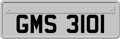 GMS3101