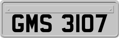 GMS3107