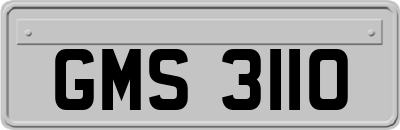 GMS3110