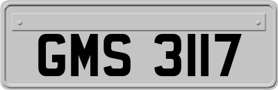 GMS3117