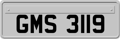 GMS3119