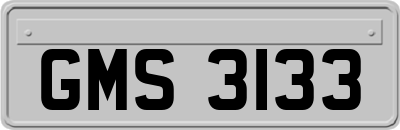 GMS3133