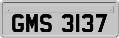 GMS3137