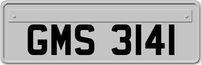 GMS3141