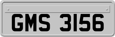 GMS3156