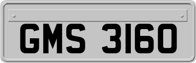 GMS3160