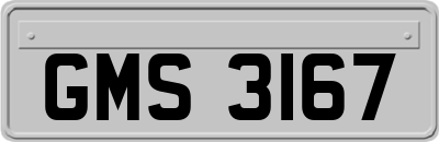 GMS3167