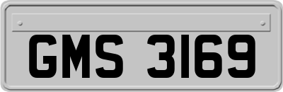 GMS3169