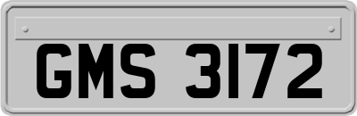 GMS3172