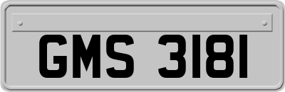 GMS3181