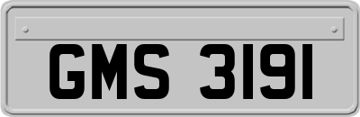 GMS3191
