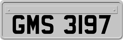 GMS3197