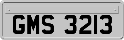 GMS3213
