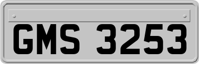 GMS3253