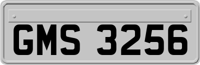 GMS3256