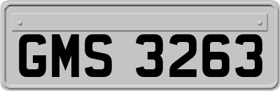 GMS3263